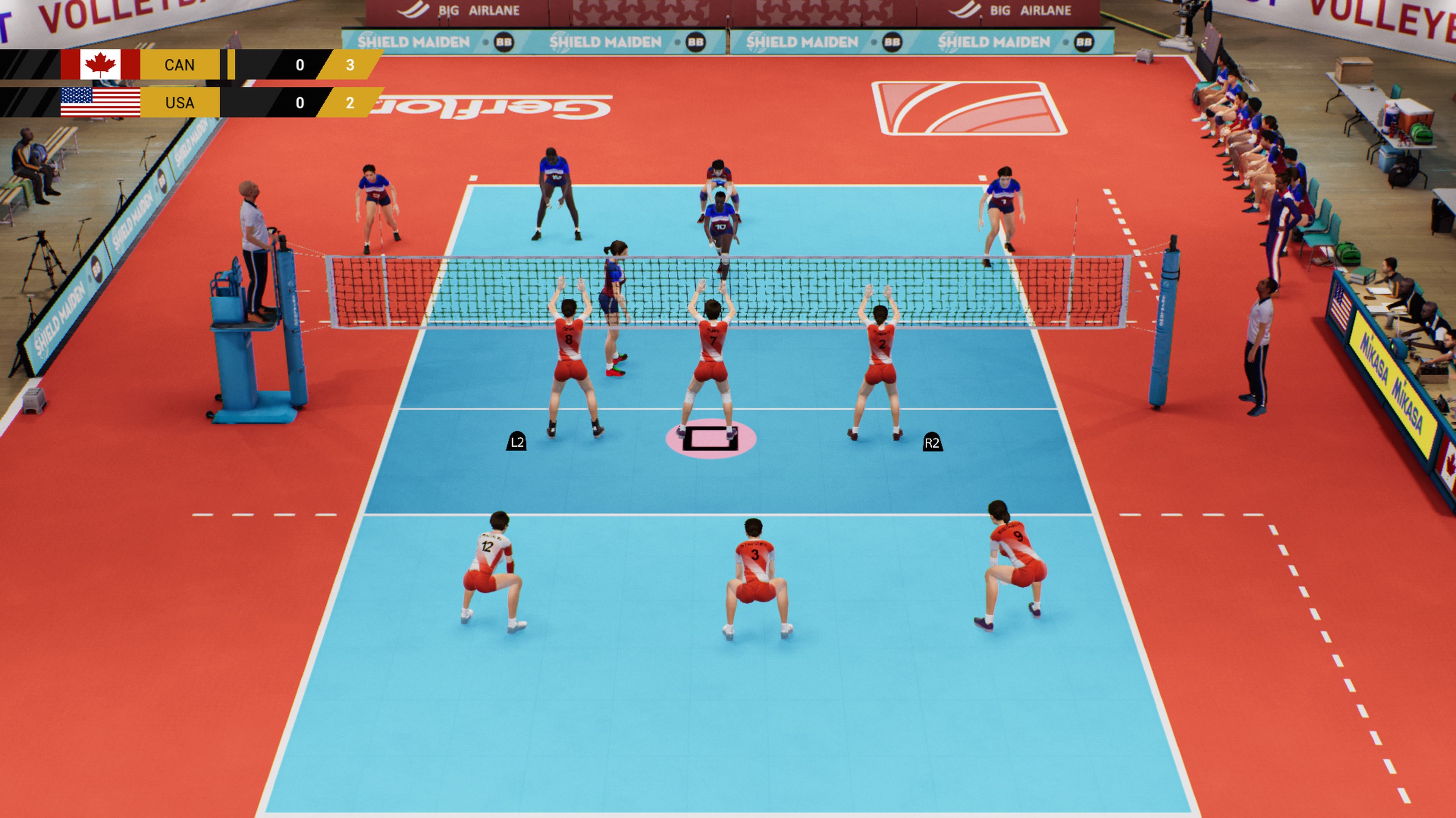volleyball video game